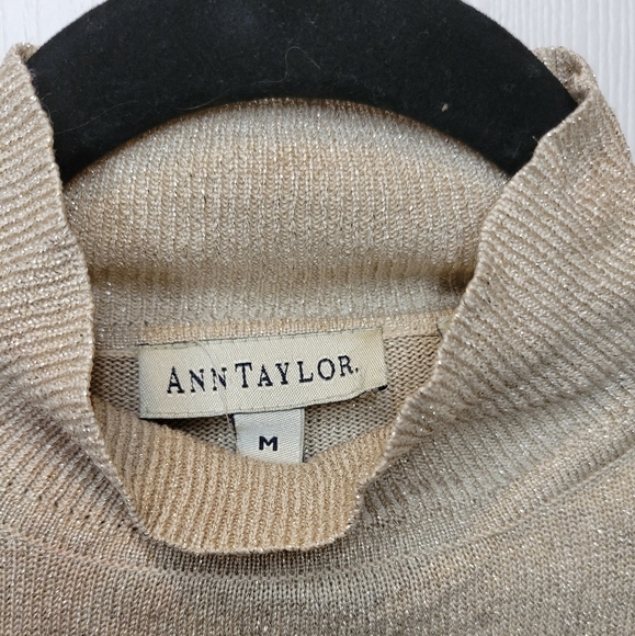 Ann Taylor Sleeveless Sweater Top sz Medium - Picture 3 of 4